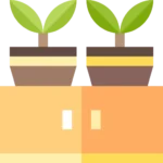 The Ultimate Checklist for Moving with Indoor Plants: Expert Tips 2 The Ultimate Checklist for Moving with Indoor Plants: Expert Tips